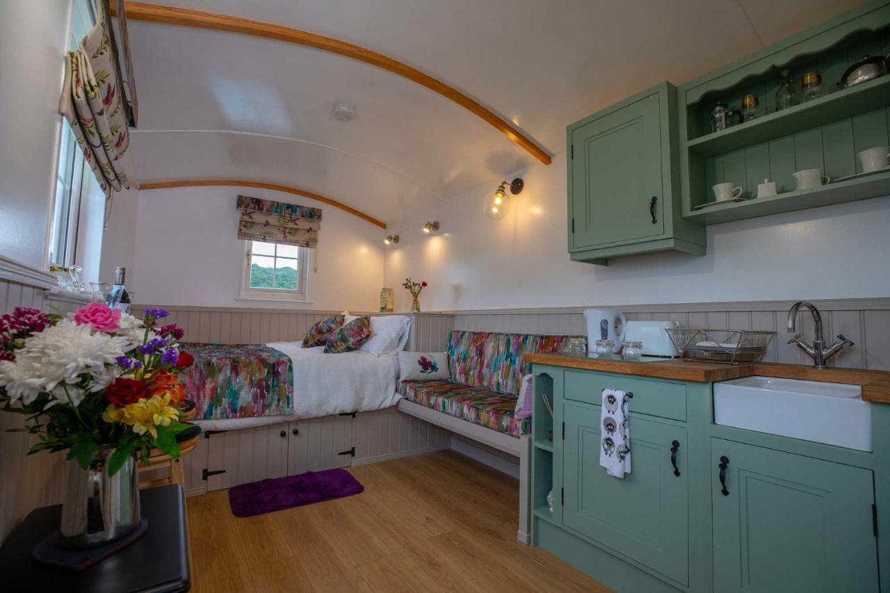 Shepherd Hut Bird Enniskillen, Fermanagh Exteriör bild
