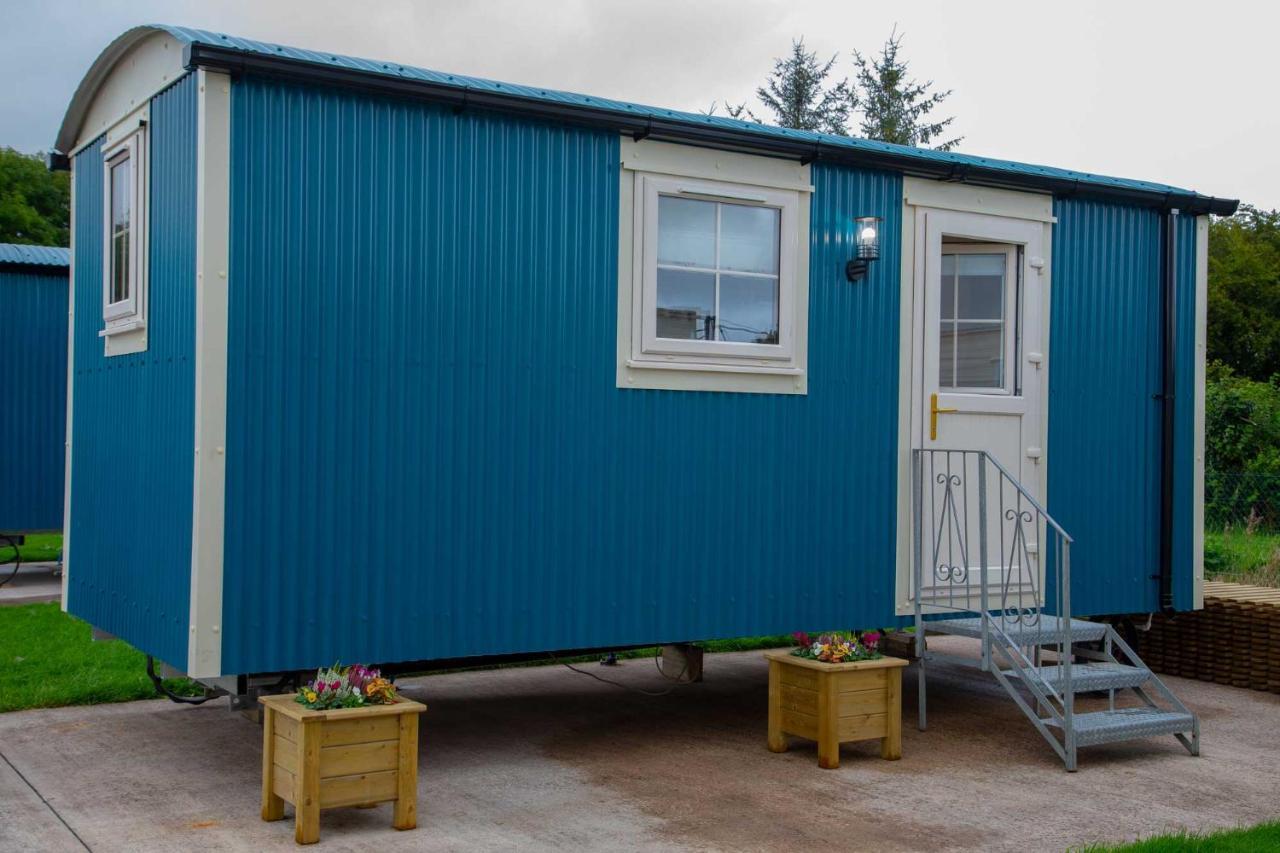 Shepherd Hut Bird Enniskillen, Fermanagh Exteriör bild